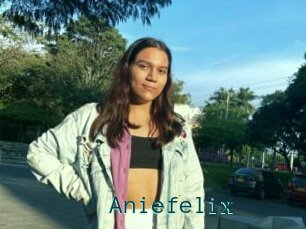 Aniefelix
