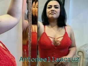 Antoneellaacruz