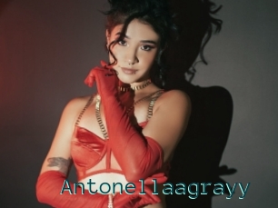 Antonellaagrayy