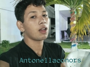 Antonellaconors