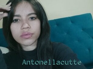 Antonellacutte