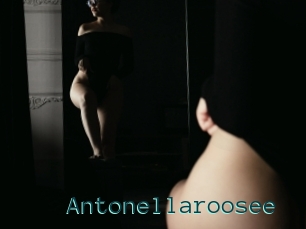 Antonellaroosee