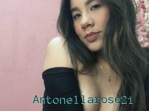 Antonellarose21