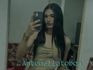 Antonellatobon