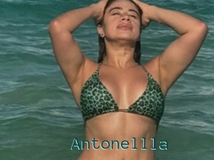 Antonellla