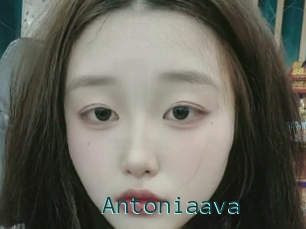 Antoniaava