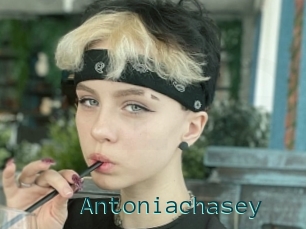 Antoniachasey