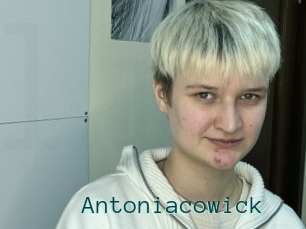 Antoniacowick