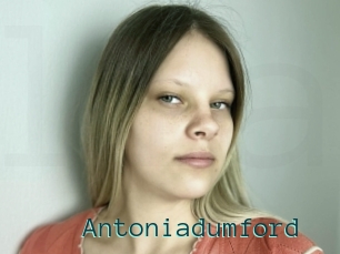 Antoniadumford