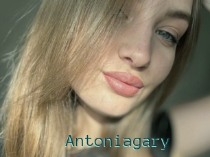 Antoniagary