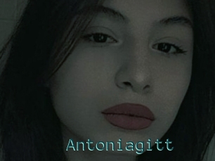 Antoniagitt