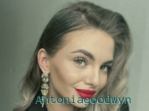 Antoniagoodwyn