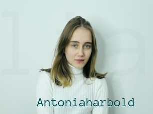Antoniaharbold