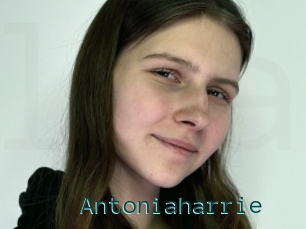 Antoniaharrie