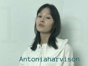 Antoniaharvison