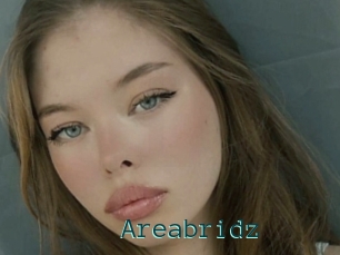 Areabridz