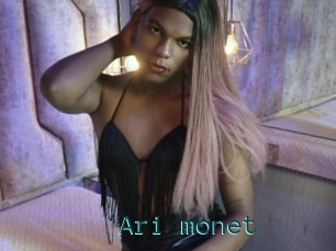 Ari_monet