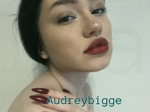 Audreybigge