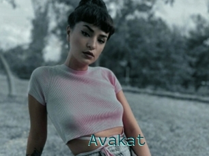 Avakat