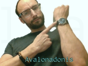 Avalonadonis