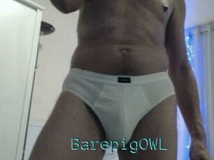 BarepigOWL
