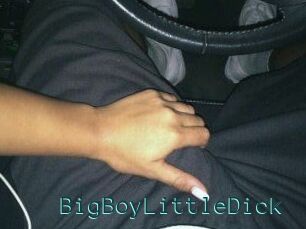 BigBoyLittleDick