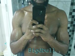 Bigdbull
