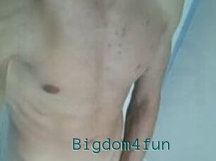 Bigdom4fun