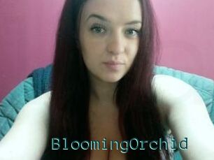BloomingOrchid