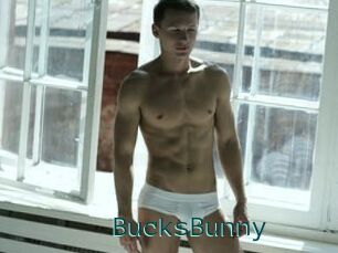 BucksBunny