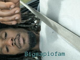Bigsapiofam