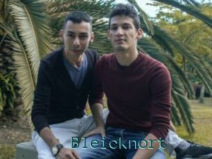 Bleicknort