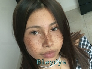 Bleydys