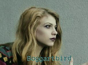 Boggartbird
