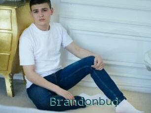 Brandonbud