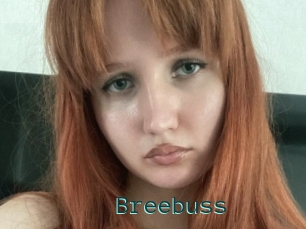 Breebuss