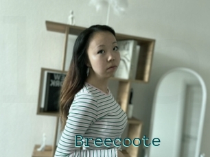 Breecoote