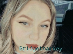 Bridgetharkey
