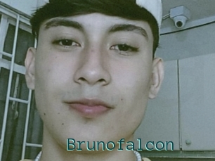 Brunofalcon