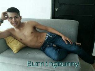 Burningbunny
