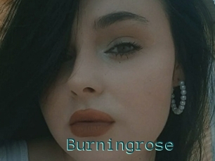 Burningrose