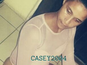 CASEY2004