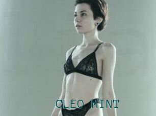 CLEO_MINT