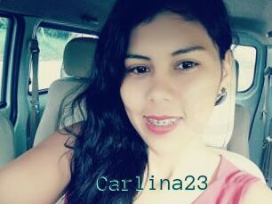 Carlina23