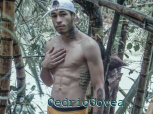 CedricGovea