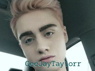 CeeJayTaylorr