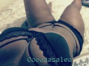 Cocoaazalea