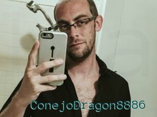 ConejoDragon8886