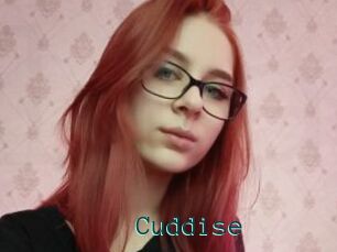 Cuddise