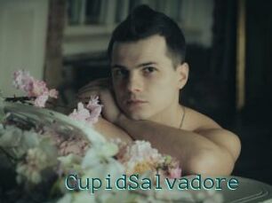 CupidSalvadore